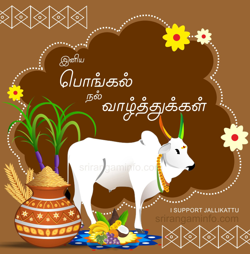 Pongal greetings 2025 jallikattu
