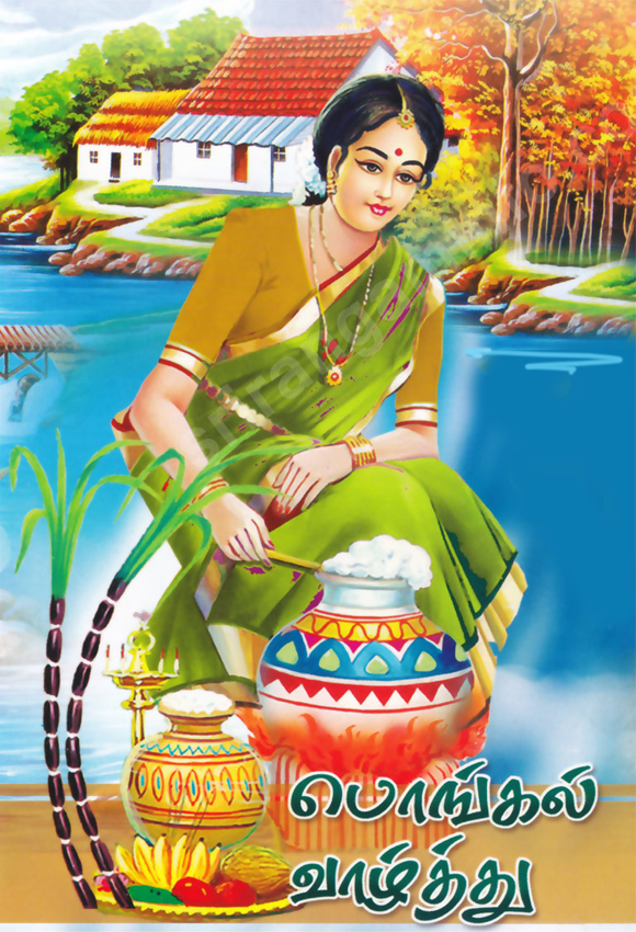 Pongal greetings
