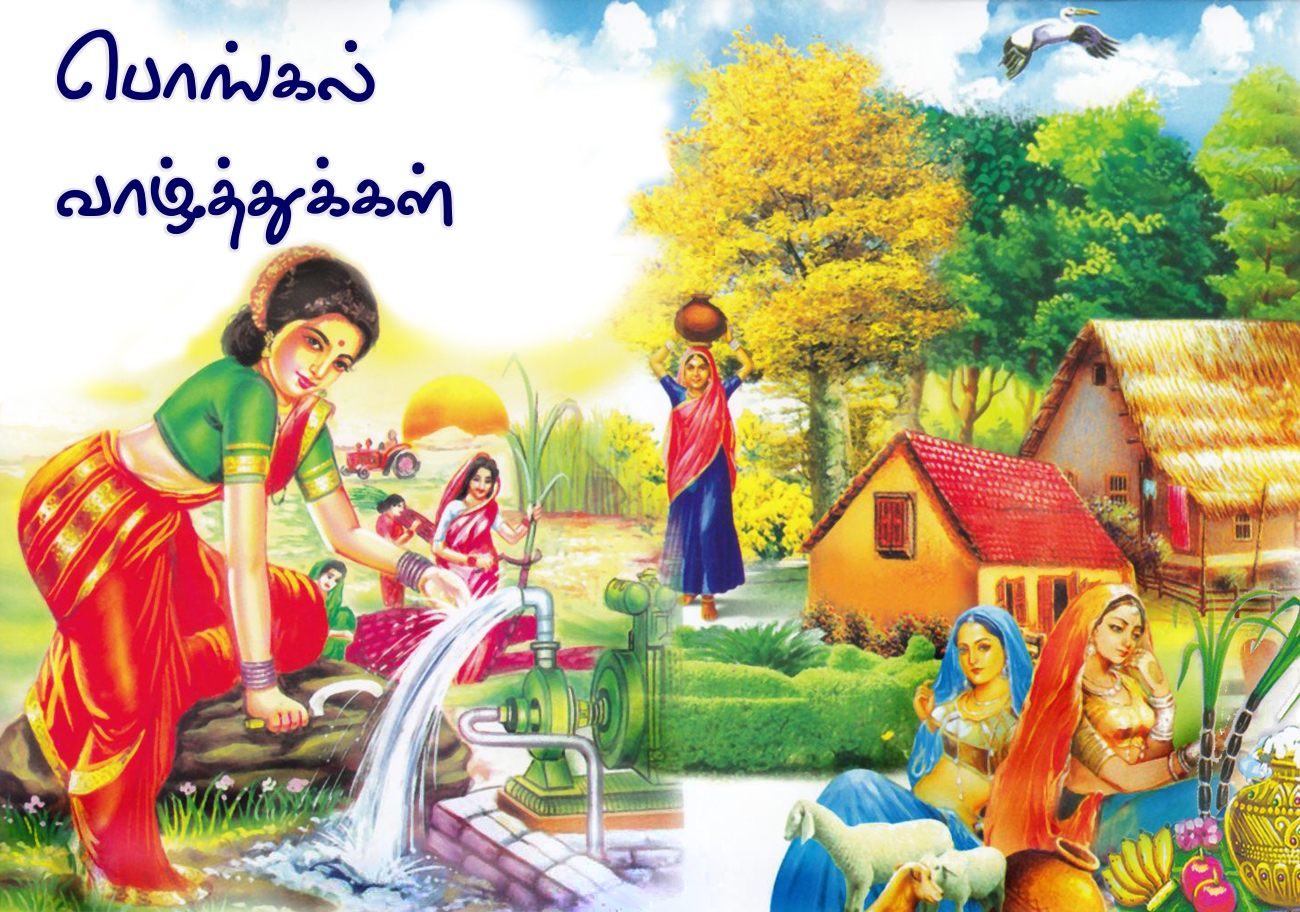Pongal greetings