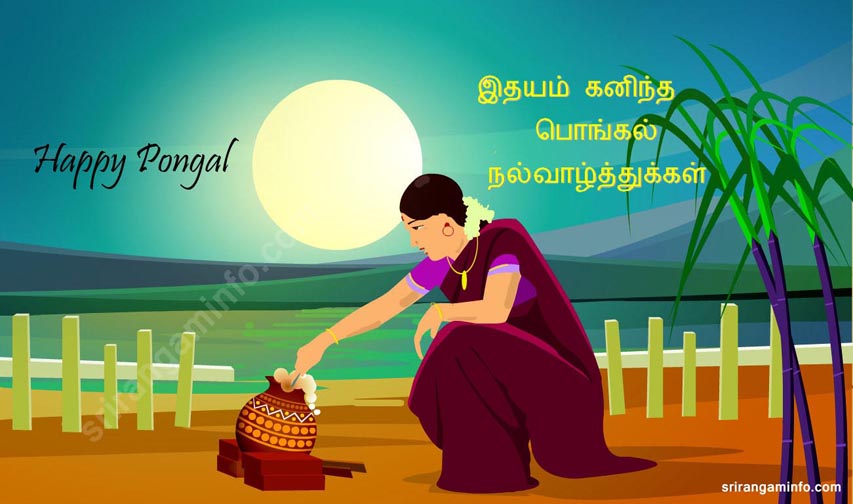 Pongal greetings in tamil 2013