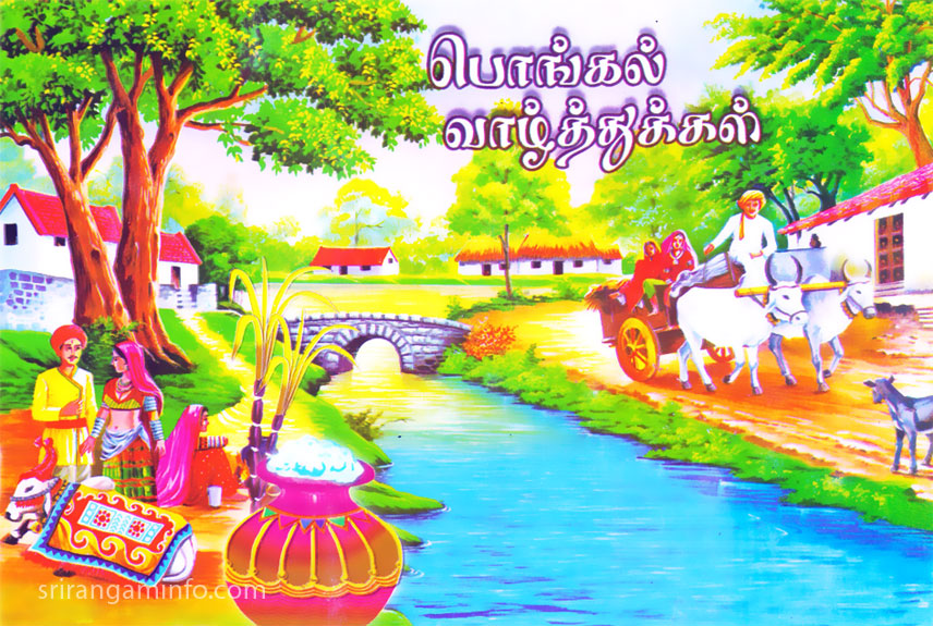 pongal greetings village pongal cow car